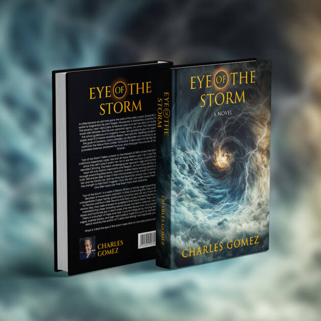 Eye Of The Storm - A Novel